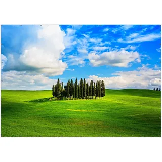 Wallario XXL Outdoor-Poster für Garten oder Balkon, Motiv Kleiner Wald inmitten einer weiten Wiese, in ca. 400 x 280 cm - Schwarz