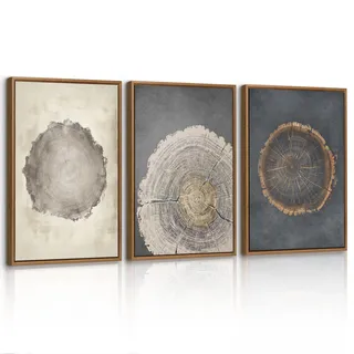 3 Pcs Vintage Baum Ringe Holz Leinwand Bilder mit Rahmen Set, Retro Holz Stumpf Wandbilder Natur Bauernhaus Rustikal Bild Auf Leinwand Poster Deko für Wohnzimmer Schlafzimmer Büro 40X60cmx3 Pcs