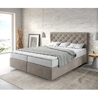 DeLife Boxspringbett Dream-Great 160x200 cm Mikrofaser Beige mit Matratze und Topper - Beige