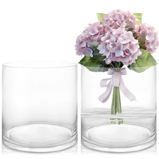 ZOFUN 2 Stück 20cm Glasvase Gross Klar Glasvase Zylinder Runde, Dekovase Glaszylinder Vase Kleine Vasen für Tischdeko, Rosen, Tulpen, Pampasgras, Tischdeko, Kerze etc(20x20 cm)