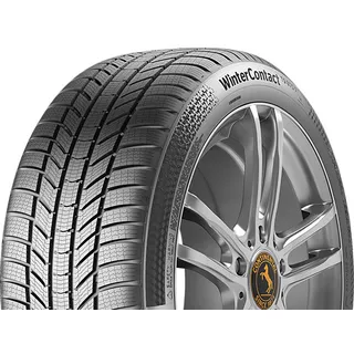WinterContact TS 870 P 255/40 R21 102T XL