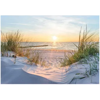 WallArena Fototapete Meer 350x250 - Multicolor - Papier - Baum/Pflanze/Natur - Rechteckig - 350x250 cm - FSC 100% ,