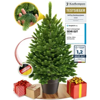 artitree Künstlicher Weihnachtsbaum künstlich (100% Spritzguss) -Naturgetreuer Tannenbaum im Topf 40-80 cm - 60