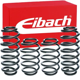 Eibach E2064-120 Fahrwerksatz für BMW 5