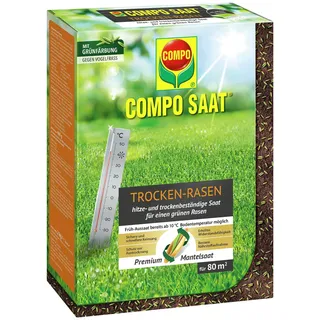 COMPO SAAT Trocken-Rasen für sonnige Standorte, 2 kg für 80 m2 | Hitze- und trockenverträgliche Rasensamen für trockene Standorte, wassersparende Grassorten für den Garten