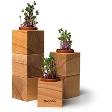 rewoodo Pflanztöpfe - Indoor Garten Anzuchtsystem Mini-Gewächshaus Tischdeko Schreibtisch(6er Set, Pflanztöpfe)