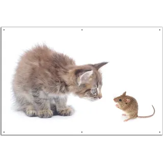 Wallario Outdoor-Poster für Garten oder Balkon, Motiv Katze und Maus beim Spielen - weißer Hintergrund, in ca. 61 x 91,50 cm - Weiß