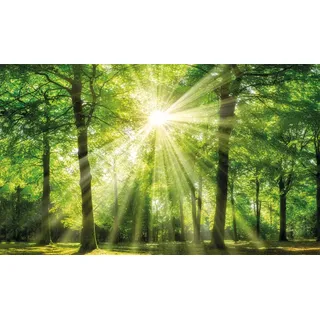 Leinwandbild BÖNNINGHOFF "Sonnenstrahl", grün (farbe bild(er): grün), B:150cm H:90cm T:3,5cm, MDF, Papier, Bilder, Leinwandbild
