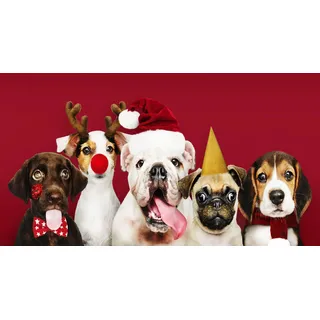 Magnetische Heizkörperabdeckung Heizkörperverkleidung Weihnachtsdeko 60x100