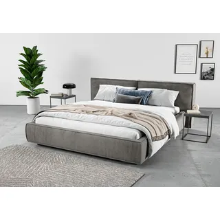 INOSIGN Polsterbett »Adrina mit Biesenoptik, Feincord und Luxus-Microfaser« bis 280kg, auch in Überlänge 220 cm, 4 Breiten bis 200cm, grau