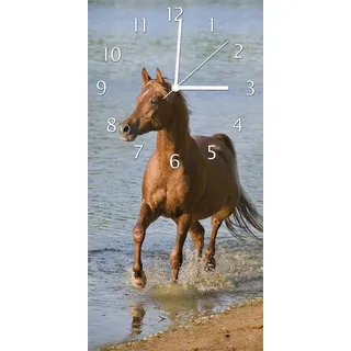 Wallario Design Wanduhr bedruckt, Größe 30 x 60 cm, Motiv: Braunes Pferd am Meer Araber am Wasser - Blau