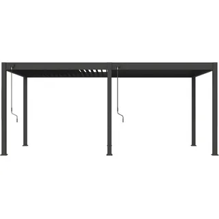 Weide Pavillon & 530x255x360 cm