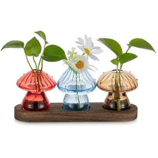 Glasseam Pilz Vase Propagation Station: Glas Vasen Klein mit Holz Ständer - Mini Glasvasen Bunt für Indoor Home Wohnzimmer Büro Tisch Regal Deko - Lovely Blumenvasen Set von 3 für Pflanzen Hydrokultur