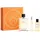 Terre d'Hermès Eau de Toilette 100 ml + Shower Gel 40 ml Geschenkset