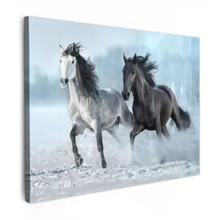 MuchoWow Leinwandbild Pferde - Winter - Tiere - Natur - Schnee 40x30 cm , Textil , Rechteckig , 40x30 cm , FSC 100% , gerahmt , Bilder & Rahmen, Bilder, Leinwandbilder