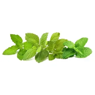 Click & Grow Click and Grow Smart Garden Refill 9-pack Calming