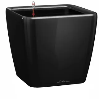 LECHUZA Quadro Premium LS 35 35 x 35 x 33 cm Schwarz hochglanz