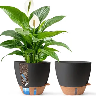 T4U Übertopf 30 cm Durchmesser, Selbstbewässerungstopf mit Wasserstandsanzeige, Pflanzkübel groß außen & Blumentopf gross innen, für Ficus/Strelitzie/Palmen(Schwarz)
