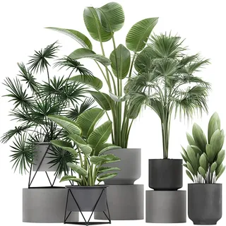 Lekabee 3D Grüne Pflanze Wandaufkleber | Bonsai Tropische Pflanze Wandaufkleber Kunst Wanddekoration für Wohnzimmer Schlafzimmer Heim Büro