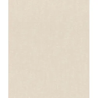 Rasch Tapete 314618 - Helle Vliestapete mit strukturierter Putzoptik in Beige - 10,05m x 0,53m (LxB)