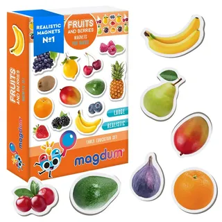 Magdum 25 Obst&BEEREN Foto Magnete Kind für Magnetafel - Magnetspielzeug - Kühlschrankmagnete - Lernspiele ab 3 Jahre