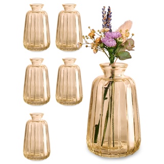 Kleine Glasvasen für Tischdeko - 6er Set - Vintage Charme - Runde Minivasen - Spülmaschinenfest - Perfekt für Hochzeit Tischdeko - Gold