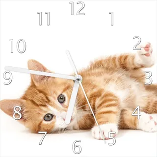 Wallario Design Wanduhr Süße Katze mit großen Augen - rot weiß getigert aus Echtglas, Größe 20 x 20 cm - Weiß