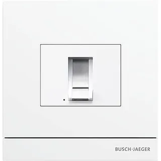 Busch-Jaeger Außenstation mit Fingerprint-Modul 83100/70-664