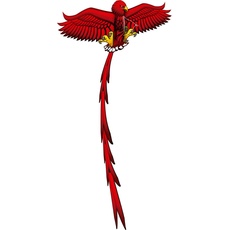 Eolo Kites Ready 2 Fly - Pop-up-3D-Drachenadler