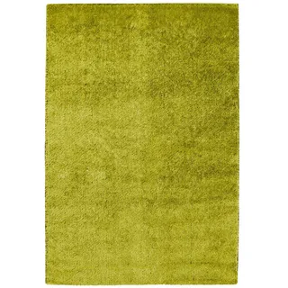 Arte Espina Swing 8100 Hochflorteppich 120 x 180 cm Hellgrün