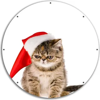Wallario rundes Outdoor-Poster für Garten oder Balkon, Motiv Ich hasse Weihnachten - mürrische Katze mit Weihnachtsmütze, 60 cm Durchmesser - Weiß