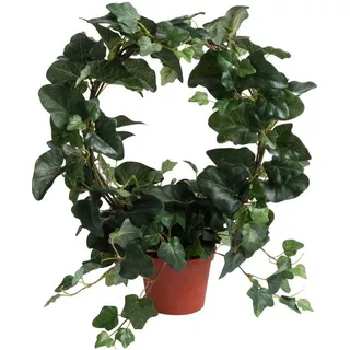 Botanic-Haus künstlicher Efeubogen im Topf«, grün