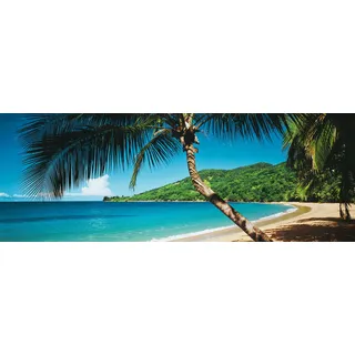 Papermoon Fototapete »Palm Beach Panorama« bunt,
