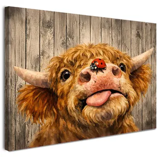 Alptiny Schottisches Hochlandrind 30x40 cm Leinwandbild mit Rahmen, lustiges Tier Wandbild für Wohnzimmer und Schlafzimmer, ohne Bohren Montage mit Klettverschluss, farbecht & HD-Druck