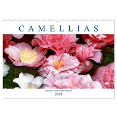 Camellias (Wall Calendar 2024 DIN A3 landscape), CALVENDO 12 Month Wall Calendar