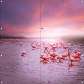 Wallario Outdoor-Poster für Garten oder Balkon, Motiv Rosa Flamingos bei Sonnenuntergang, in ca. 180 x 180 cm - Rosa