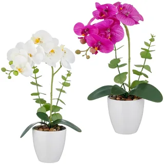 Creativ green Kunstorchidee "Orchidee Phalaenopsis" mit Eukalyptuszweigen, 2 farben 2