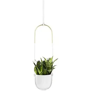 Umbra Bolo Blumenampel für Innen – Hängender Blumentopf für Anbringung an Wand und Decke, für Zimmerpflanzen, Sukkulenten, Luftpflanzen, Kakteen, Kunstpflanzen und Mehr, Keramik/Messing, Weiß