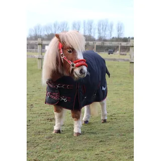 Rhinegold Foal Thor Outdoor-Teppich 3/6, Schwarz gebunden, Rot