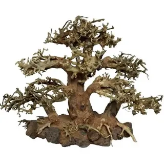 4FISH Tree roots Tree Island 30x15x23 cm