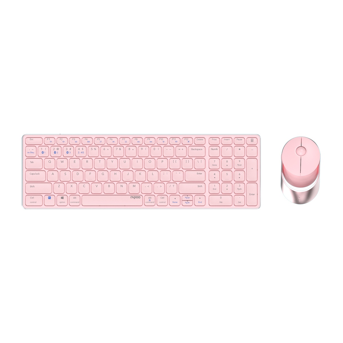 Bild von Tastatur Maus enthalten RF Wireless