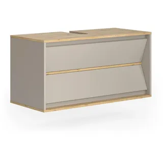 Vicco Waschbeckenunterschrank Edelin 2 Schubladen 100 x 50 x 45 cm Grau