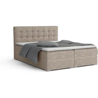 Deine Möbel 24 Boxbett Cynthia 140/200 in Cord Beige H3 , Holz, Holzwerkstoff, Textil , H3 , 140x200 cm , Schlafzimmer, Betten, Boxspringbetten