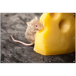 Wallario Outdoor-Poster für Garten oder Balkon, Motiv Süße Maus knabbert an einem Käse in der Küche, in ca. 100 x 150 cm - Gelb