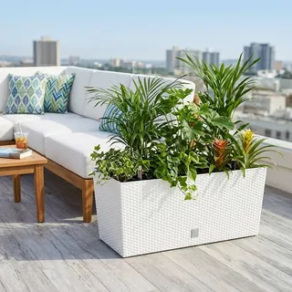 Blumenkasten für Blumen, groß, für den Innen- und Außenbereich, Kunststoff, Rattan-Effekt, für Terrasse, Garten oder Wohnzimmer, UV-beständig, 32 cm hoch x (80 x 33 cm), weiß