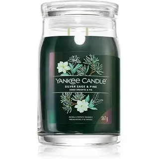 Yankee Candle Silver Sage & Pine große Duftkerze 567 g
