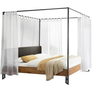 Hasena Himmelbett , Anthrazit, Weiß, Eichefarben , Metall , Wildeiche , massiv , 160x200 cm , Über- und Sondergrößen erhältlich, gepolstertes Kopfteil, Himmelfunktion, in verschiedenen Größen erhältlich , Schlafzimmer, Betten, Holzbetten