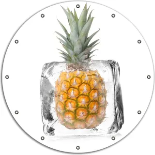 Wallario rundes Outdoor-Poster für Garten oder Balkon, Motiv Ananas in Eiswürfel - Eiskaltes Obst, 90 cm Durchmesser - Weiß