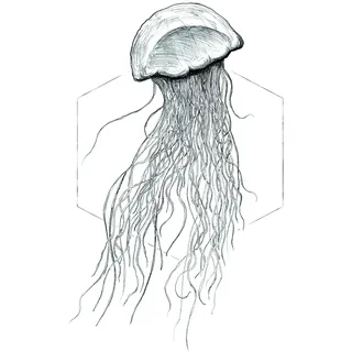 KOMAR Wandbild Jellyfish White 50 x 70 cm