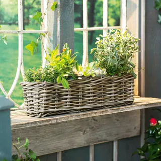 Rattan Pflanzkasten "Koboo Grey" 60 cm lang, grau, Balkon-Blumenkasten | für Drinnen & Draußen, Balkonkasten, Pflanzgefäß für die Fensterbank, Flechtkorb, Pflanzkübel rechteckig